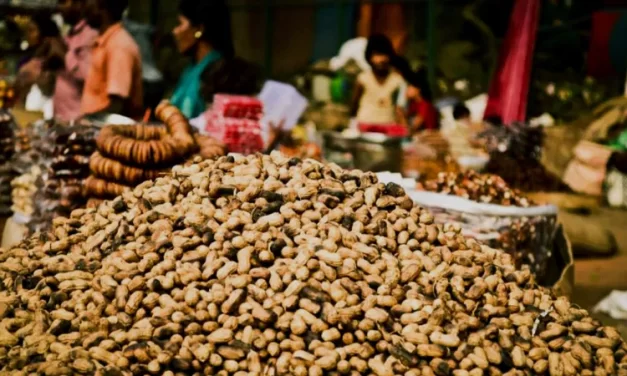 ಬಂದೇಬಿಡ್ತು ೨೦೨೫ ರ ಕಡಲೆಕಾಯಿ ಪರಿಷೆ