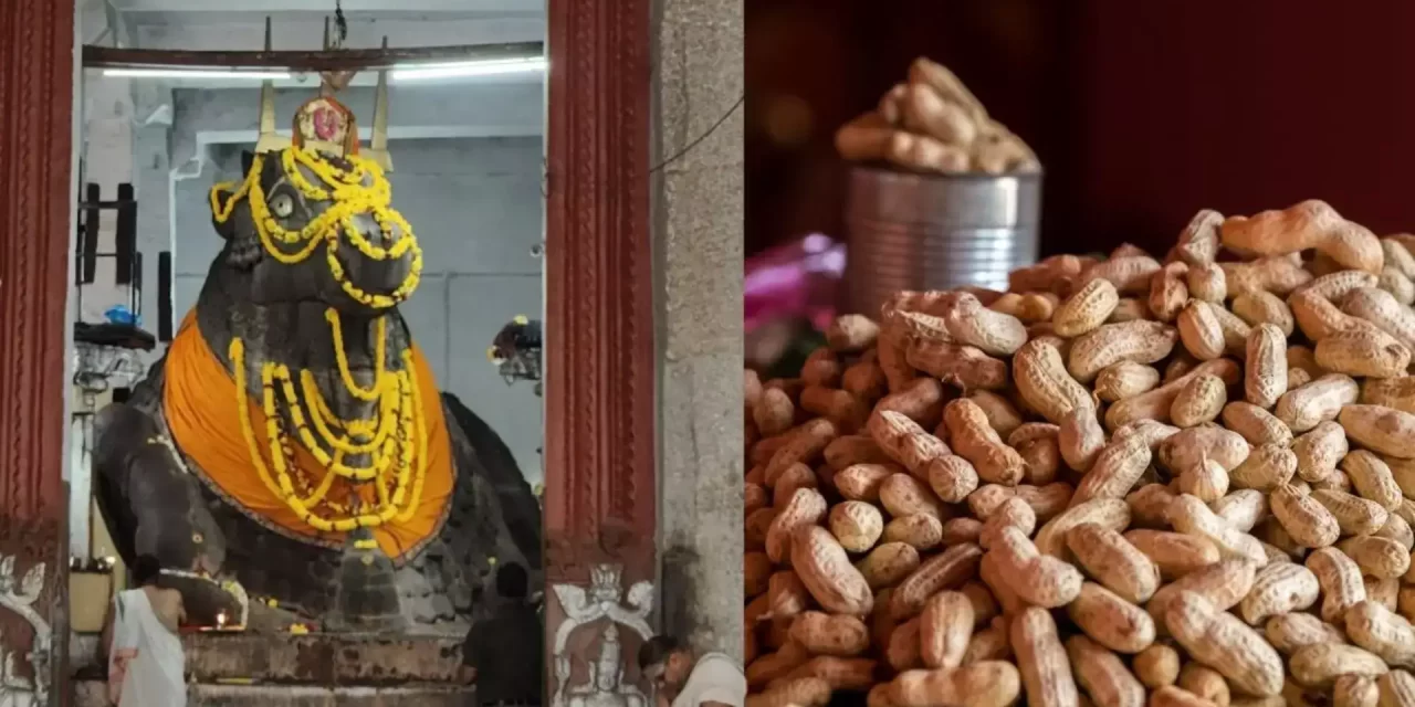 ಬಸವನಗುಡಿ ಕಡಲೆಕಾಯಿ ಪರಿಷೆ 2025 ಆರಂಭ: ಐತಿಹಾಸಿಕ ಉತ್ಸವ ಈ ಬಾರಿ 5 ದಿನಗಳ ಕಾಲ