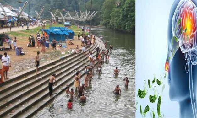 ಕೇರಳದಲ್ಲಿ ‘ಮೆದುಳು ತಿನ್ನುವ ಅಮೀಬಾ’ ಸೋಂಕು ಪ್ರಕರಣಗಳು ಹೆಚ್ಚಳ
