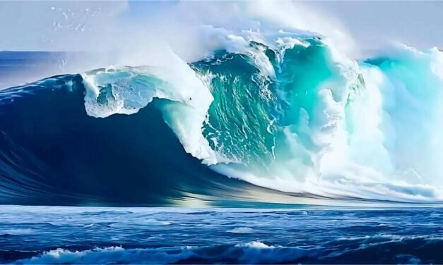 ಸುನಾಮಿ ಎಚ್ಚರಿಕೆ: ಜಪಾನ್‌ನ ಇವಾತೆ ಕರಾವಳಿ