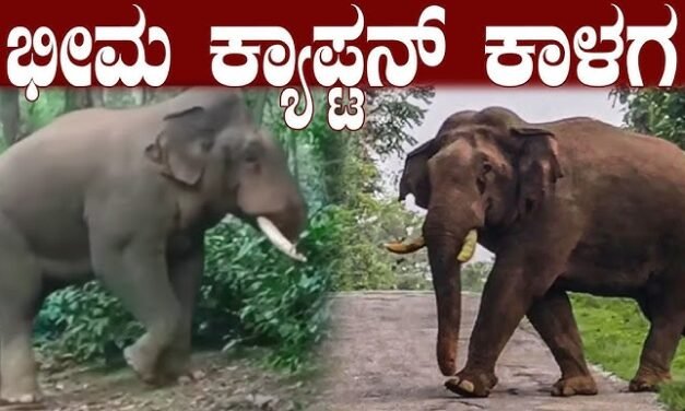 “ವೈಲ್ಡ್ ಭೀಮ” – ಕ್ಯಾಪ್ಟನ್ ಕಾದಾಟದ ಹವಾ!