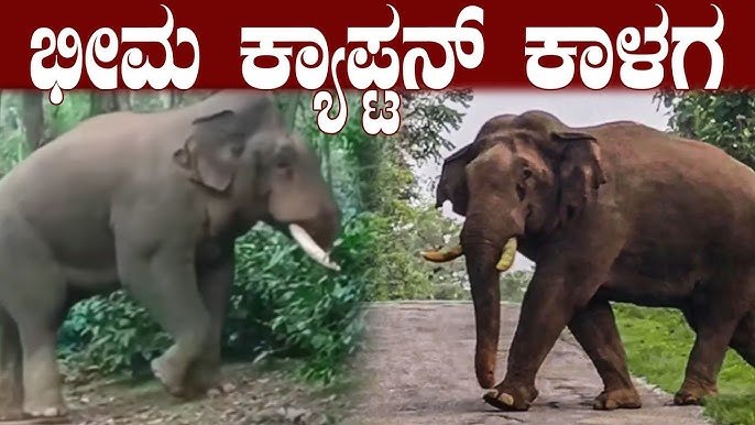 “ವೈಲ್ಡ್ ಭೀಮ” – ಕ್ಯಾಪ್ಟನ್ ಕಾದಾಟದ ಹವಾ!