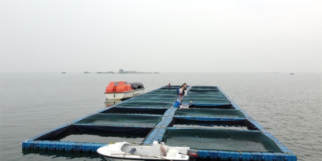 “ರಕ್ಷಕರೇ ಕಳ್ಳರು”-ಭದ್ರತಾ ಸಿಬ್ಬಂದಿಯೇ 40 ಟನ್ ಮೀನು ಕಳವು ಮಾಡಿದ ಆರೋಪ