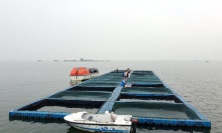 “ರಕ್ಷಕರೇ ಕಳ್ಳರು”-ಭದ್ರತಾ ಸಿಬ್ಬಂದಿಯೇ 40 ಟನ್ ಮೀನು ಕಳವು ಮಾಡಿದ ಆರೋಪ