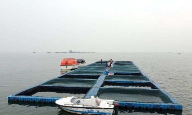 “ರಕ್ಷಕರೇ ಕಳ್ಳರು”-ಭದ್ರತಾ ಸಿಬ್ಬಂದಿಯೇ 40 ಟನ್ ಮೀನು ಕಳವು ಮಾಡಿದ ಆರೋಪ