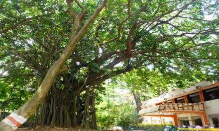 ಕಂಟೋನ್ಮೆಂಟ್ ರೈಲ್ವೆ ಕಾಲೊನಿ – ಜೀವ ವೈವಿಧ್ಯತೆ ತಾಣದ ಹಿಂಪಡೆದ ನಿರ್ಧಾರ