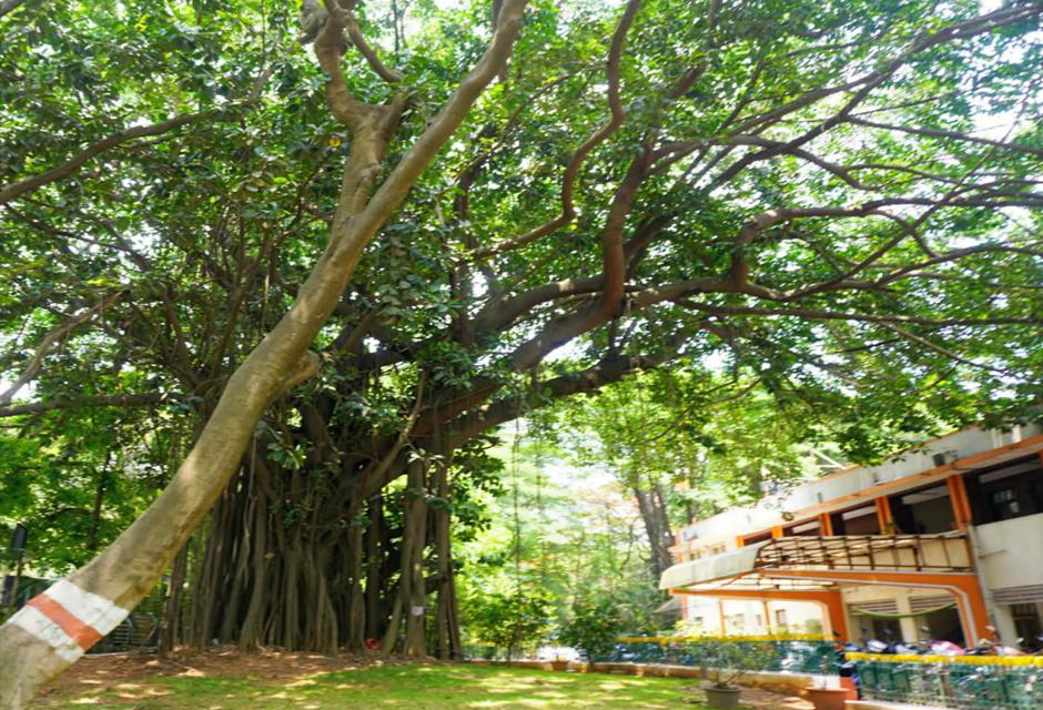 ಕಂಟೋನ್ಮೆಂಟ್ ರೈಲ್ವೆ ಕಾಲೊನಿ – ಜೀವ ವೈವಿಧ್ಯತೆ ತಾಣದ ಹಿಂಪಡೆದ ನಿರ್ಧಾರ