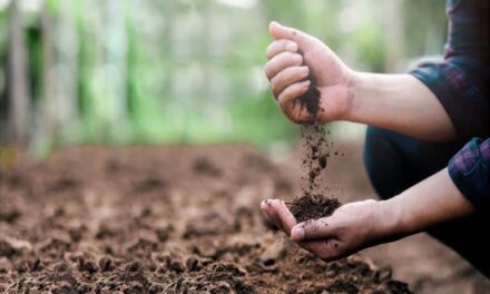 ಡಿ.5 ವಿಶ್ವ ಮಣ್ಣು ದಿನ: ಮಣ್ಣಿನ ಗುಣಮಟ್ಟ ಕುಸಿತ – ಕೃಷಿ ಕ್ಷೇತ್ರದ ಪ್ರಮುಖ ಸವಾಲು ಎಂದು ತಜ್ಞರ ಎಚ್ಚರಿಕೆ