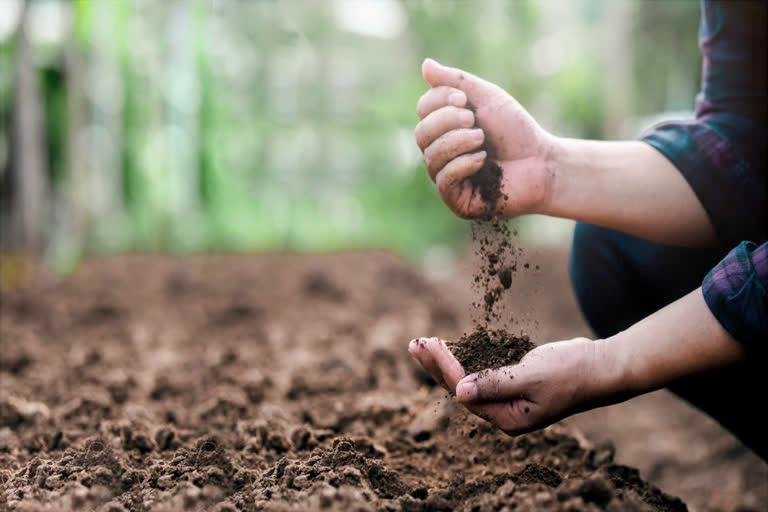 ಡಿ.5 ವಿಶ್ವ ಮಣ್ಣು ದಿನ: ಮಣ್ಣಿನ ಗುಣಮಟ್ಟ ಕುಸಿತ – ಕೃಷಿ ಕ್ಷೇತ್ರದ ಪ್ರಮುಖ ಸವಾಲು ಎಂದು ತಜ್ಞರ ಎಚ್ಚರಿಕೆ