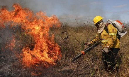 ಆಸ್ಟ್ರೇಲಿಯಾದಲ್ಲಿ ಕಾಡ್ಗಿಚ್ಚು: ಸಾವಿರಾರು ಹೆಕ್ಟೇರ್ ಪ್ರದೇಶ ಬೆಂಕಿಗೆ ಆಹುತಿ, 3.5 ಲಕ್ಷ ಜನರ ಸ್ಥಳಾಂತರಕ್ಕೆ ಸೂಚನೆ ನೀಡಲಾಗಿದೆ.