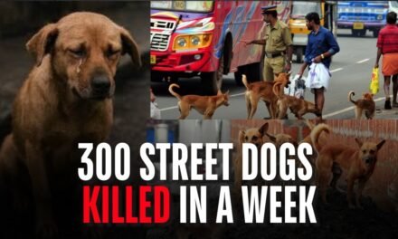 ಜಗತ್ಯಾಲದಲ್ಲಿ 300 ಬೀದಿ ನಾಯಿಗಳ ಹತ್ಯೆ – ಮಾನವೀಯತೆಗೆ ಪ್ರಶ್ನೆ