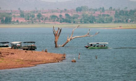 ಕಬಿನಿ ಹಿನ್ನೀರಿನಲ್ಲಿ ಅಕ್ರಮ ದೋಣಿ ಸಫಾರಿ – ಪರಿಸರವಾದಿಗಳ ಕಳವಳ