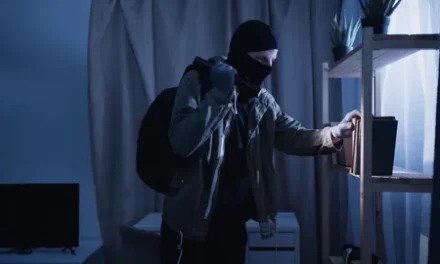 ರಾಜ್ಯದಲ್ಲಿ ಕಳ್ಳತನ ಪ್ರಕರಣಗಳ ಏರಿಕೆ