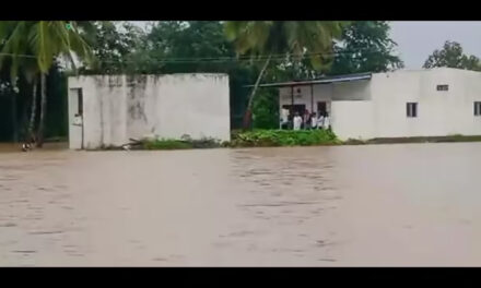 ಕೃಷ್ಣಾ ನದಿ ಪ್ರವಾಹ: ಹಿಪ್ಪರಗಿ ಬ್ಯಾರೇಜ್ ಗೇಟ್ ಕುಸಿತದಿಂದ ಬೆಳೆ–ಮನೆಗಳಿಗೆ ಹಾನಿ