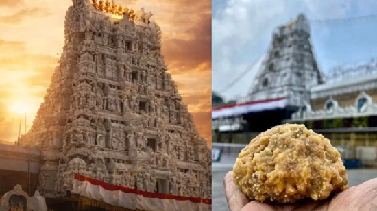 ಮೇ ತಿಂಗಳಲ್ಲಿ 1.21 ಕೋಟಿಗೂ ಅಧಿಕ ತಿರುಪತಿ ಲಡ್ಡು ಮಾರಾಟ